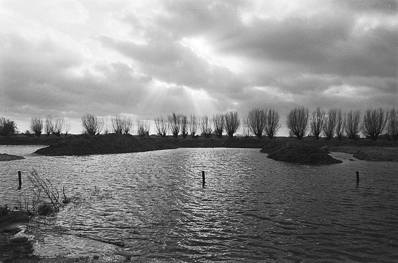 File:De Rijn (hier bij Arnhem) is door de hevige regenval reeds op vele plaatsen buit, Bestanddeelnr 933-5429.jpg