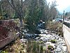 Ashland Creek and Winburn Way in Lithia Park