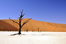 Desert - Namibia.jpg