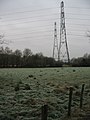 Double row of pylons - geograph.org.uk - 1111351.jpg