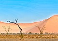 Driving through the Namib Desert (40433727372).jpg