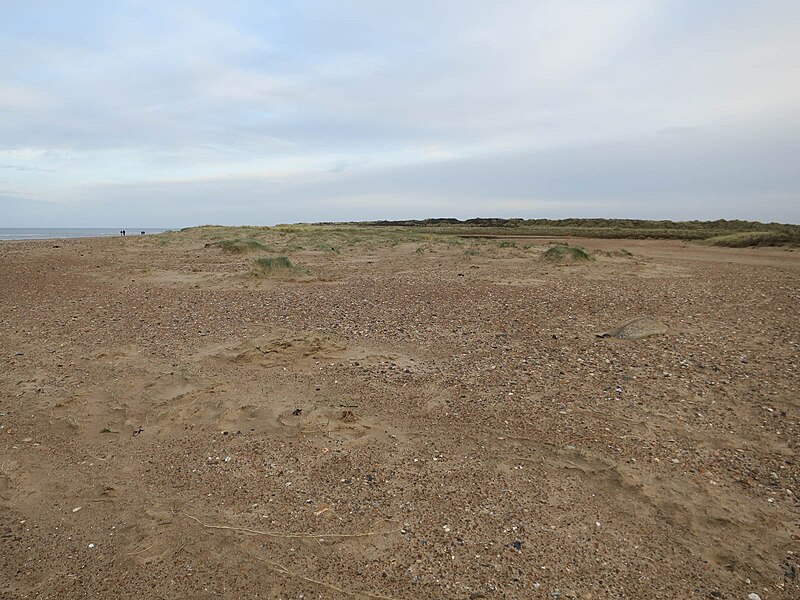 File:Dunes at Gore Point - geograph.org.uk - 6022894.jpg