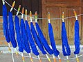 Dyed Silk Thread Drying - Mekong Blue Silk Cooperative - Outside Stung Treng - Cambodia (48428862576).jpg
