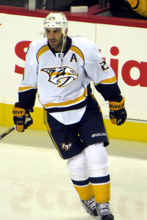 Eric Nystrom American ice hockey player (born 1983)