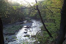 EuclidCreek01.jpg