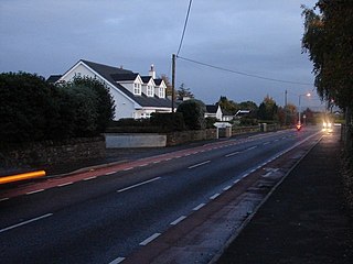 <span class="mw-page-title-main">R405 road (Ireland)</span> Road in Ireland