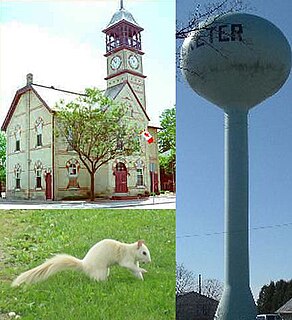<span class="mw-page-title-main">Exeter, Ontario</span> Town in Ontario, Canada