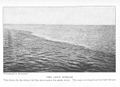 Dieses alte Schwarzweiß-Foto zeigt wie sich das Wasser des Golfstroms vom Wasser des Atlantischen Ozeans unterscheidet.
