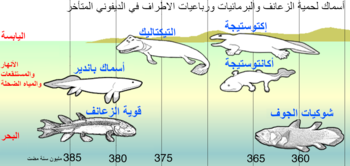 أشباه رباعيات الأطراف: كائن حي