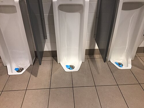 Floor standing urinals