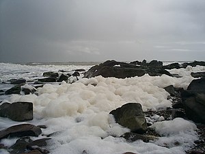 Foaming at the teeth - geograph.org.uk - 769385.jpg