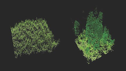 Lidar imaging comparing old-growth forest (right) to a new plantation of trees (left)