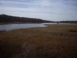 Fort-corchaug-vicinity.jpg