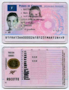 French driving license 2013.png