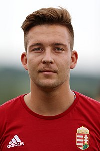 Partido amistoso Austria Sub-21 vs.  Hungría Sub-21 2017-06-12 (178) .jpg