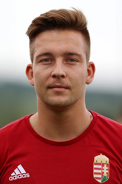 File:Friendly match Austria U-21 vs. Hungary U-21 2017-06-12 (178).jpg