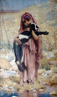 Young Algerian Shepherdess
