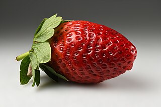 <span class="mw-page-title-main">Strawberry</span> Edible fruit