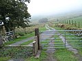 Gates and Track to Hafod - geograph.org.uk - 228577.jpg