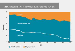 <span class="mw-page-title-main">Fish stocks</span>