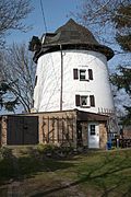 Windmill Göhrenz (Tower Dutchman)