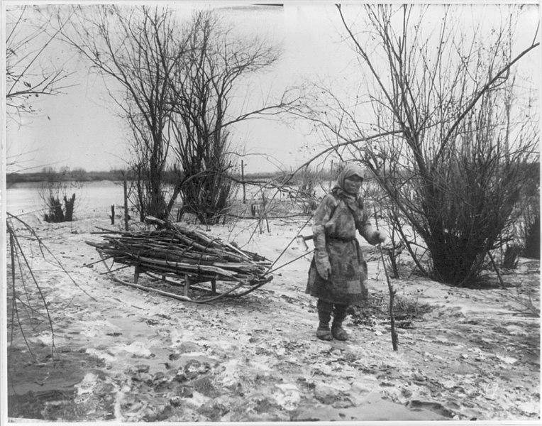 File:Goldes woman pulling firewood sledge LCCN2004707518.jpg