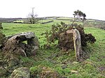 Grainne's Grave, Radergan, Sixmilecross - geograph.org.uk - 90687.jpg