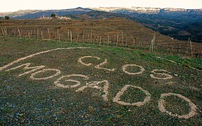 Gratallops - Clos Mogador