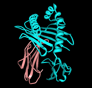 <span class="mw-page-title-main">HLA-A68</span> Human leukocyte antigen serotype