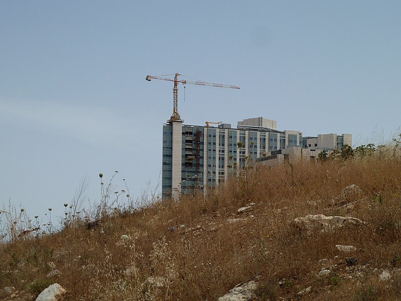 File:Hadassah University Hospital, Ein Karem P1150463.JPG