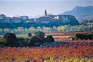 Haro and his vineyards