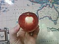 Heart Apple.jpg