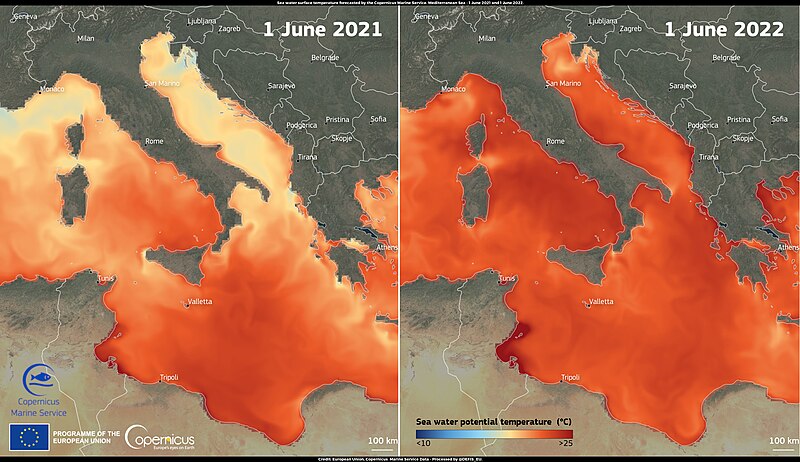 File:Heatwaves affect the Mediterranean Sea.jpg