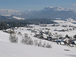 <span class="mw-page-title-main">Buchholterberg</span> Municipality in Bern, Switzerland