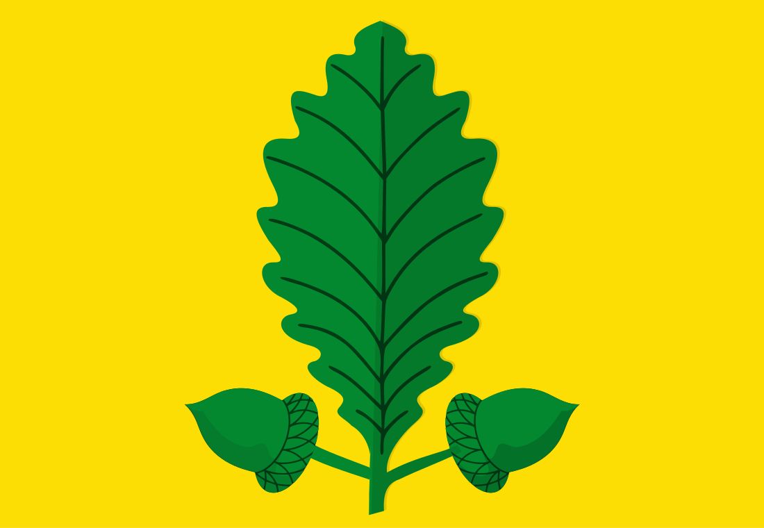 Vlag van Heusden-Zolder