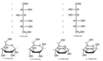 Thumbnail for Open-chain compound