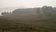 A foggy summer morning viewed from State Route 84