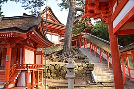 Matinée au sanctuaire de Hinomisaki