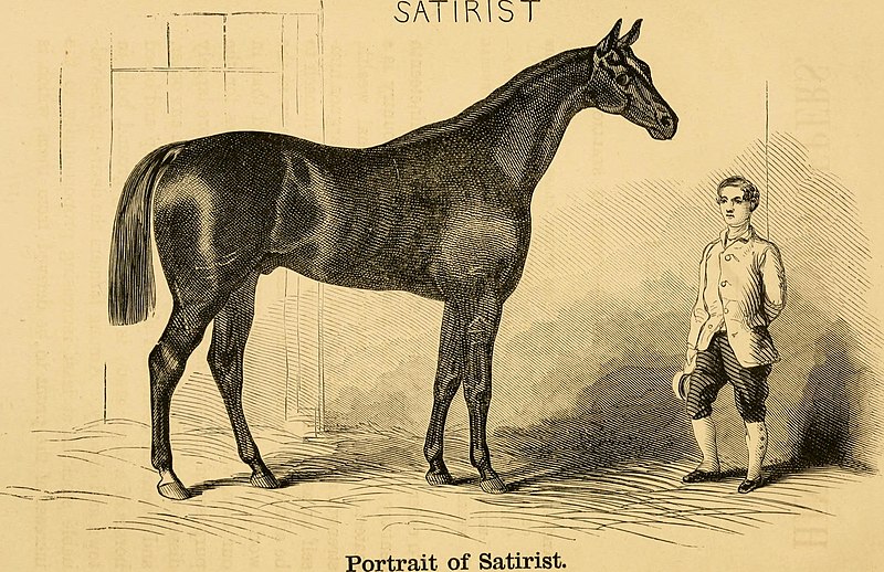 File:Hints to horse-keepers - a complete manual for horsemen And chapters on mules and ponies (1859) (14787563833).jpg