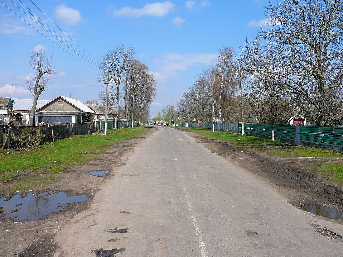 Гречана (Старосинявська селищна громада, Хмельницький район)