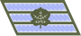 IDF Ranks Samar.svg