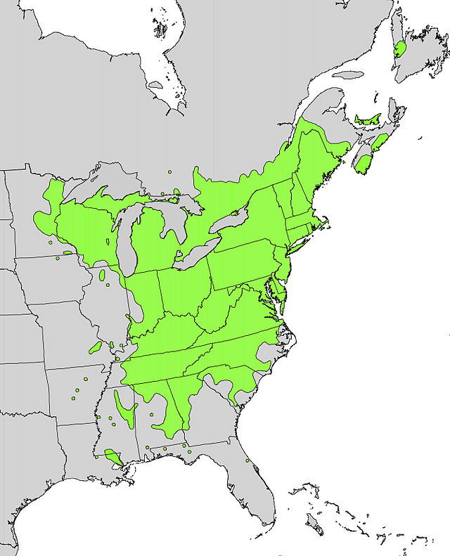 Description de l'image Ilex verticillata range map.jpg.