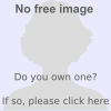 Image is needed female.svg