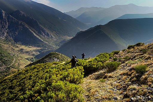 In search of Wolves in the Picos de Europa