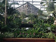 Inside the Garfield Park Conservatory. Inside Garfield Park Conservatory.jpg