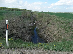 Viršytis Janelioniuose