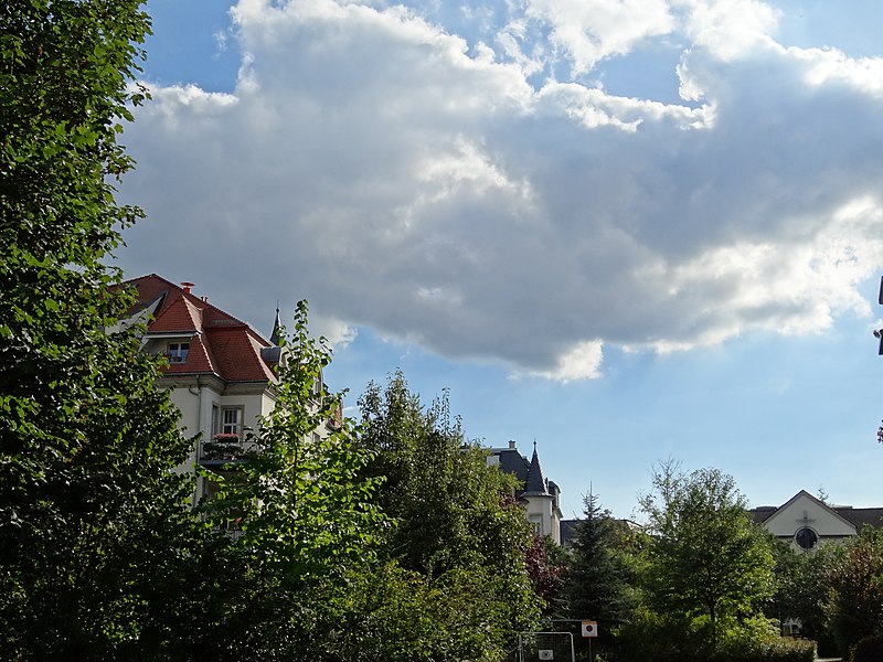 File:Johannstadt, Dresden, Germany - panoramio (342).jpg