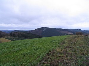 View from the Bracht southwest to the Juergensberg