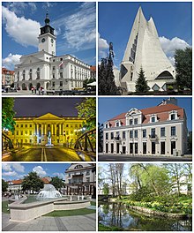 Kalisz collage.jpg