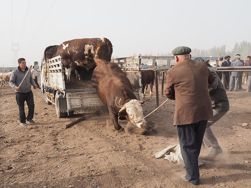 File:Kashgar Sunday Market (23741398400).jpg